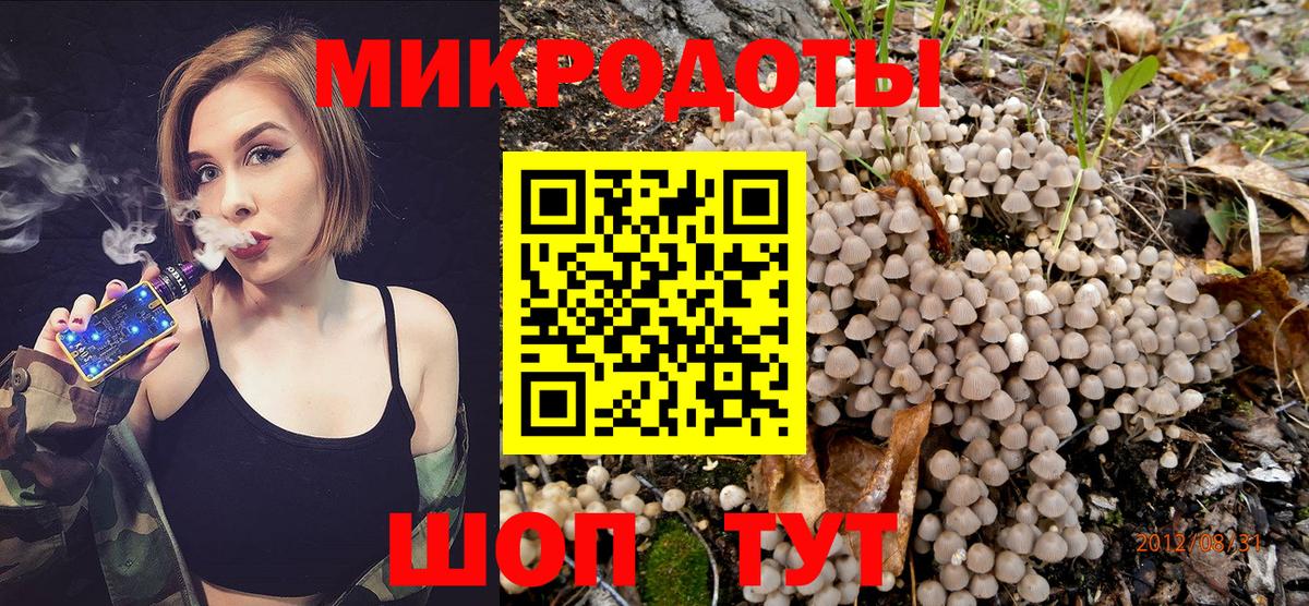 Галлюциногенные грибы Psilocybe  Вход с VPN  Киселёвск 