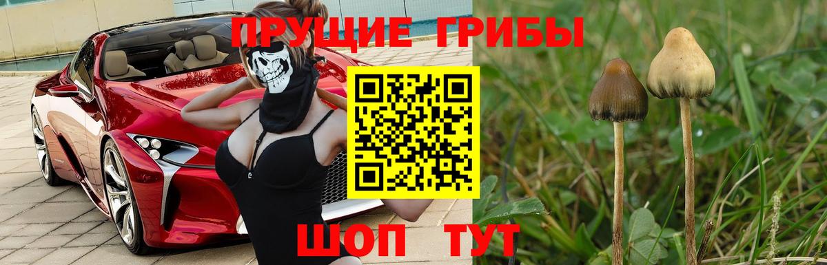 Галлюциногенные грибы Magic Shrooms Киселёвск
