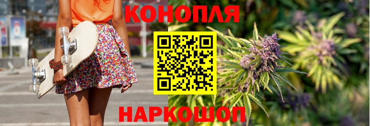 Канабис сатива Киселёвск