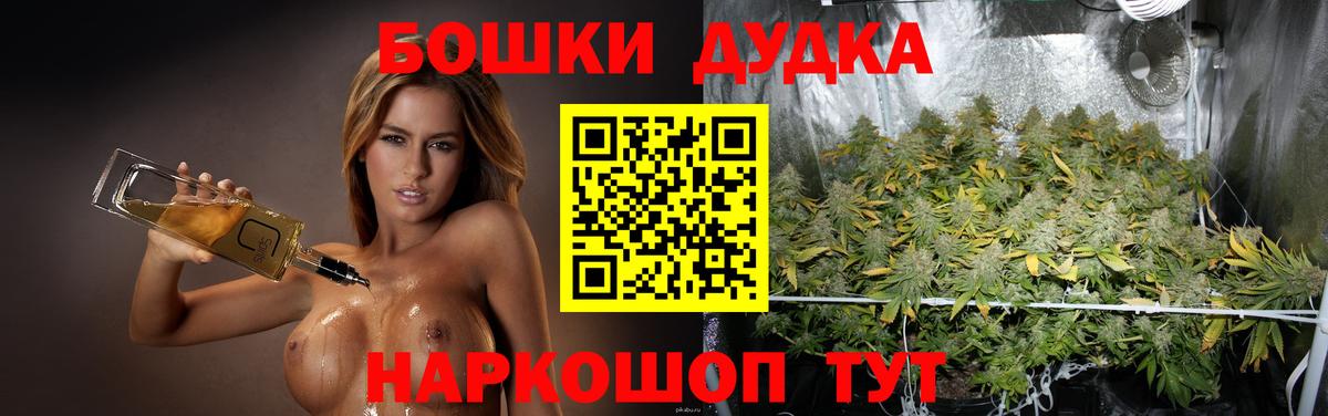 Каннабис OG Kush  Марихуана гибрид  Вход с VPN  Киселёвск 